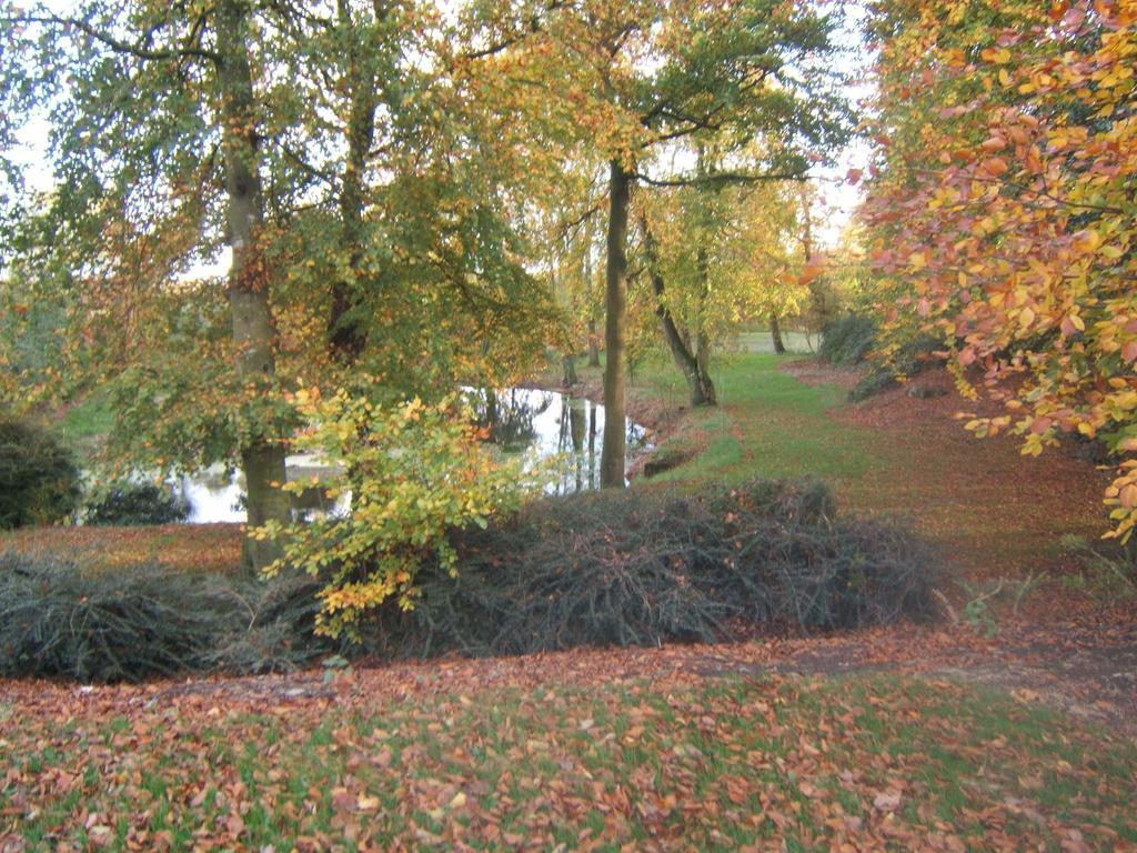 Coolanowle Self Catering Holiday Accommodation Carlow Exteriér fotografie