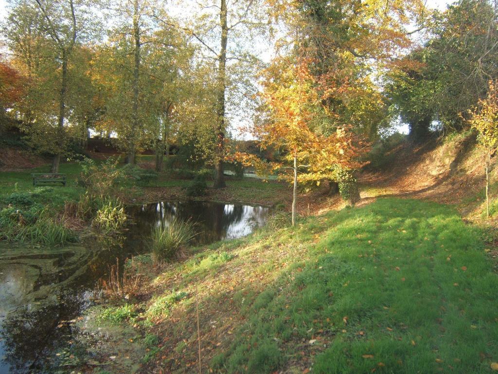 Coolanowle Self Catering Holiday Accommodation Carlow Exteriér fotografie