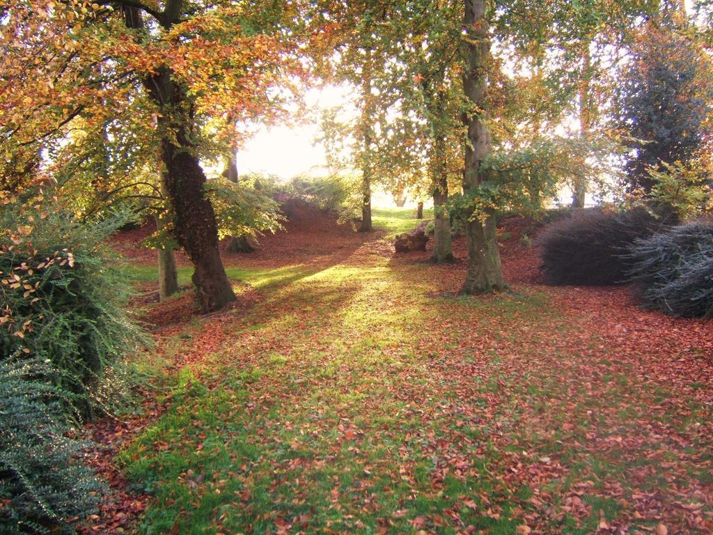 Coolanowle Self Catering Holiday Accommodation Carlow Exteriér fotografie