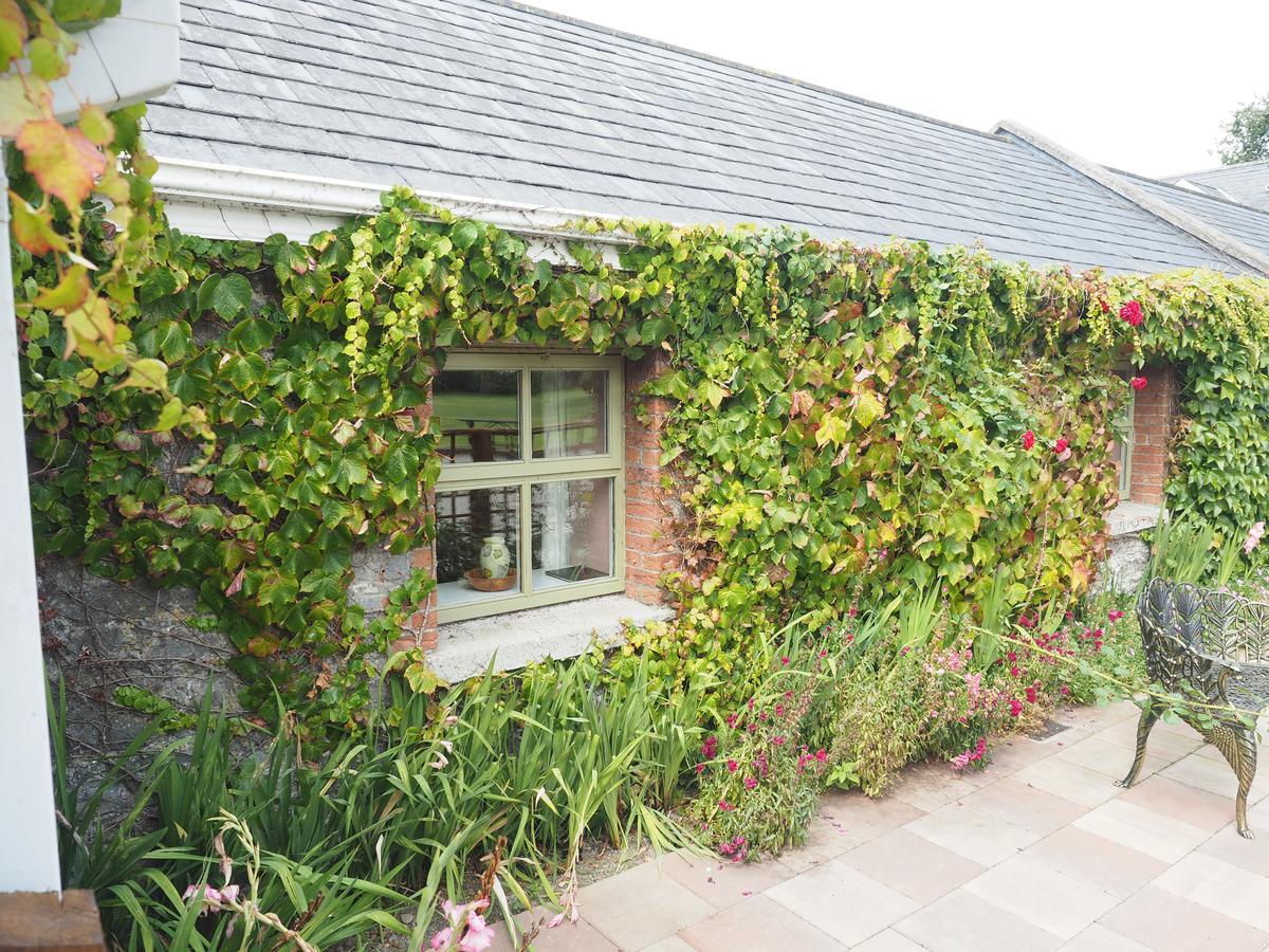 Coolanowle Self Catering Holiday Accommodation Carlow Exteriér fotografie